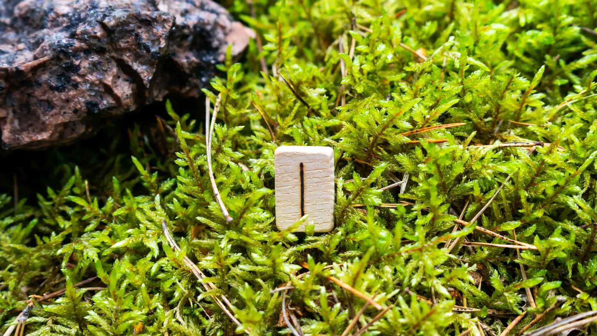 Cover image for Isa: The Winter Rune That Teaches the Hidden Power of Stillness