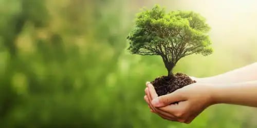 Eco-Conscious Witchcraft: Sustainable Magical Practice for a Changing Planet