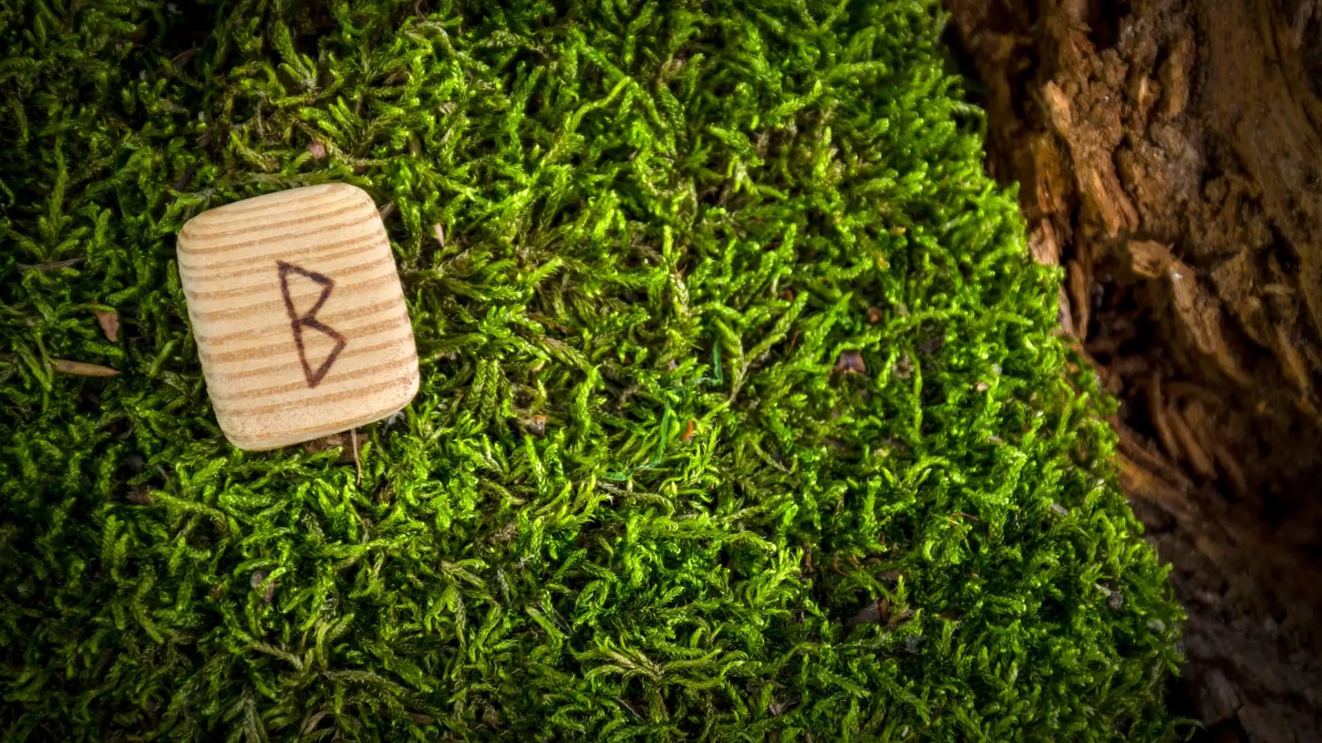 Cover image for Berkana: The Ancient Birch Rune of Sacred Growth and Nurturing Renewal