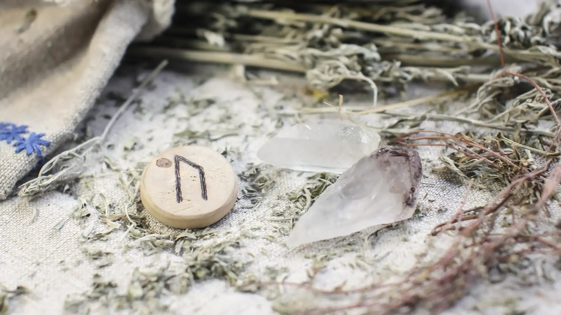 Cover image for Uruz: Harness the Primal Strength of the Ancient Aurochs Rune