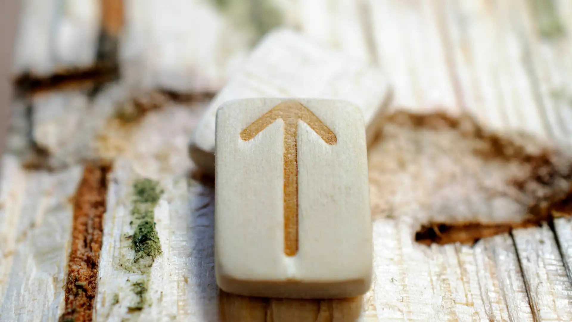 Cover image for Teiwaz: Walking the Warrior's Path of Courage and Truth