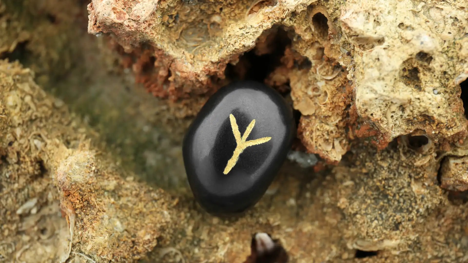 Cover image for Algiz: The Ancient Shield Rune of Divine Protection and Higher Connection
