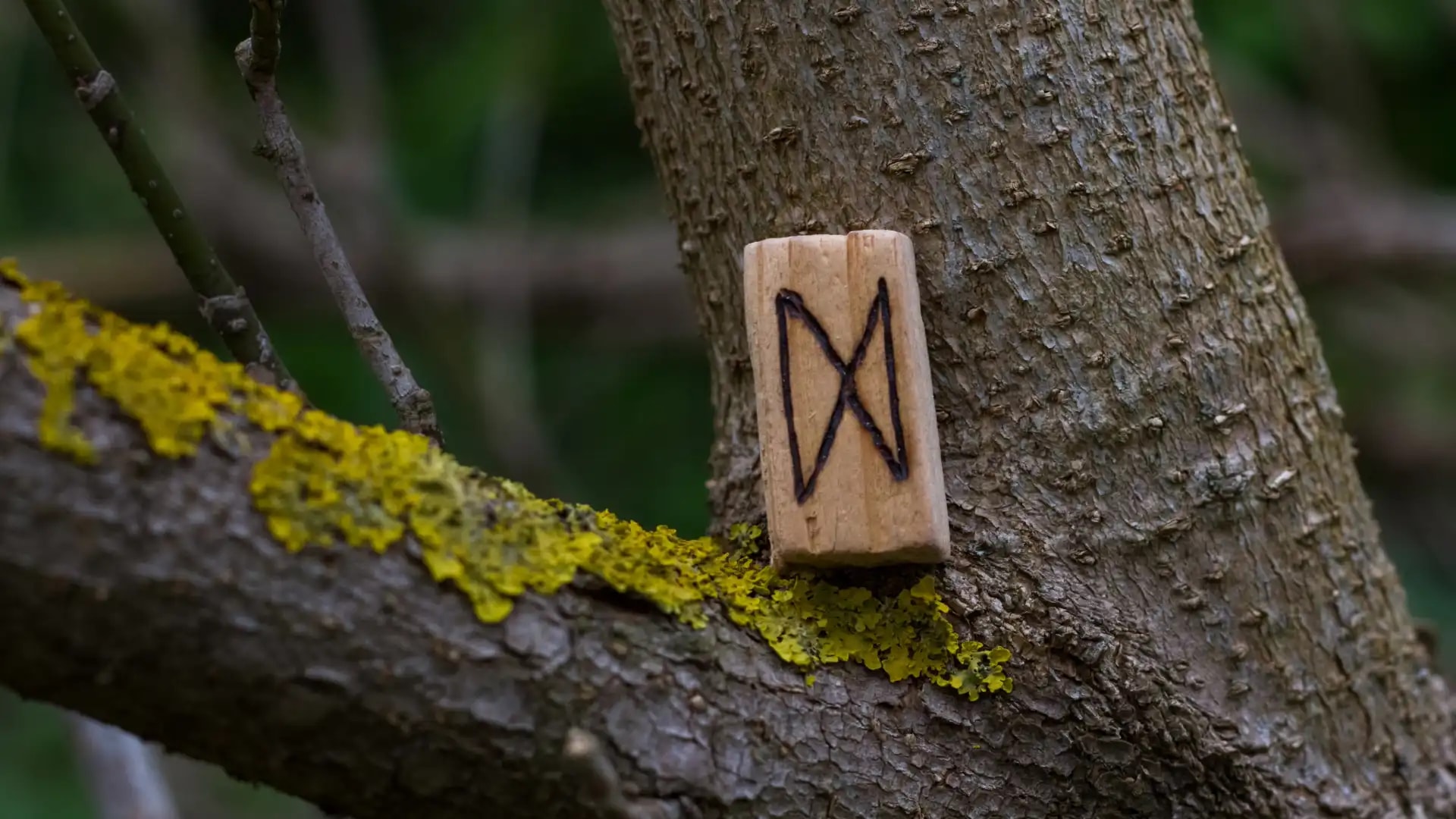 Cover image for Dagaz: The Ancient Breakthrough Rune of Awakening and Radical Transformation