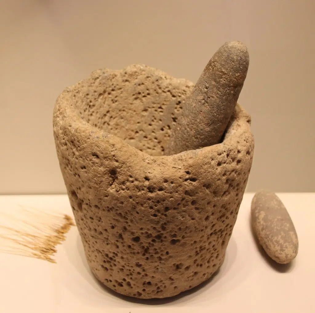 Stone Age Stone Mortar Pestle Kebaran Culture 22000 18000 Bp