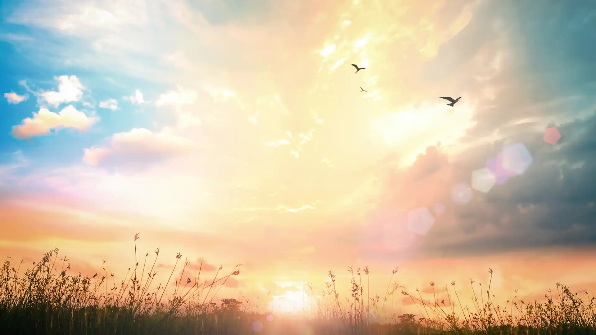 Research materials for deity work showing books, journal, and altar items