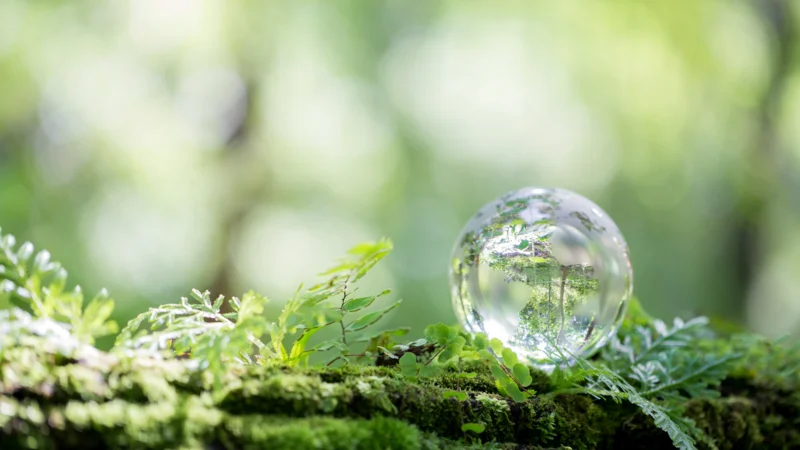 Rich soil with growing plants representing earth's abundance