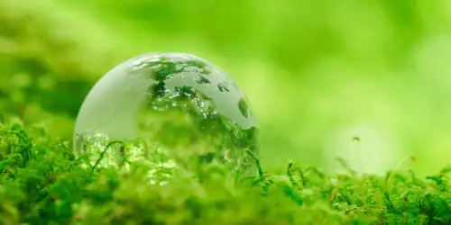 Witch tending a garden of local magical herbs and plants