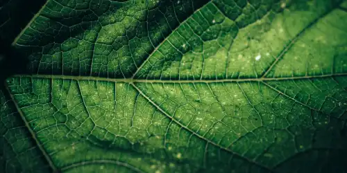 Technology offers opportunities to reduce the material footprint of magical practice without compromising effectiveness