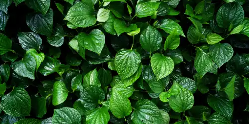 Eco-conscious witchcraft naturally extends into community building that supports both practitioners and planet