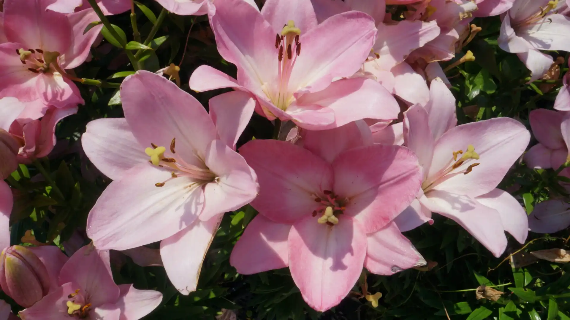 An altar isn't meant to be a static display but a working magical tool.
