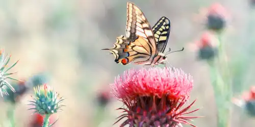 Practicing witchcraft from a naturalistic perspective can sometimes feel lonely